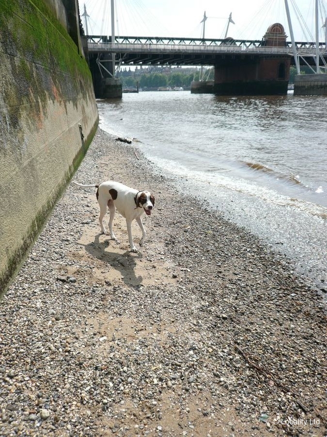 London's only beach.... (Lambeth, London)